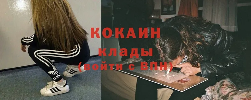 Cocaine Fish Scale  как найти   Красноармейск 